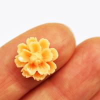 Kaboszon kwiatuszek Sandy Brown