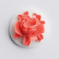 Kaboszon różowy kwiat na białym tle Kaboszon różowy kwiat na białym tle