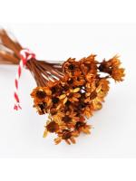 Real Dried Flower light brown 50 pcs