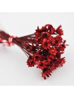 Real Dried Flower red 50 pcs