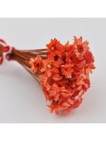 Real Dried Flower salmon 50 pcs