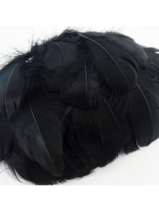 Colored black feather