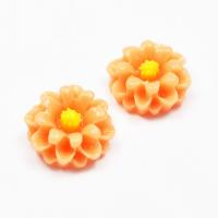 Kaboszon kwiatek polny pomarańczowy