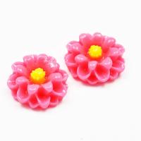 Kaboszon kwiatek polny różowy