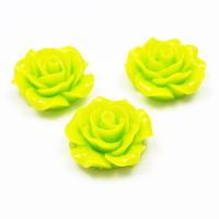 Róża 20  mm limonka Róża 20  mm limonka