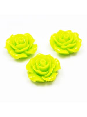 Róża 20  mm limonka Róża 20  mm limonka