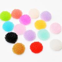 Kaboszon z żywicy 5 szt. Kaboszon z żywicy 5 szt.