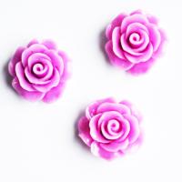 Róża 20  mm Róża 20  mm