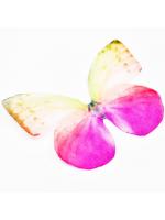 Motylek z ogranzy żółto-różowy
