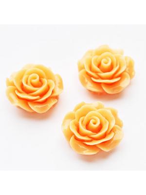 Róża 20 mm brzoskwiniowa Róża 20 mm brzoskwiniowa