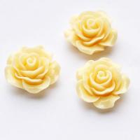 Róża 20  mm ecru Róża 20  mm ecru