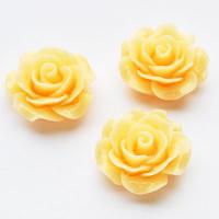 Róża 20  mm morelowa Róża 20  mm morelowa