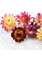 Real Dried Flower rose mix