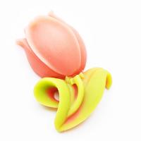 Kaboszon tulipan Kaboszon tulipan