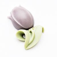 Kaboszon tulipan Kaboszon tulipan